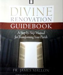 DIVINE RENOVATION