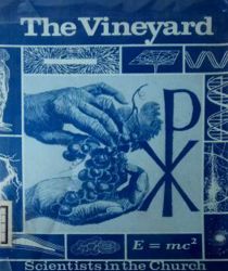 THE VINEYARD