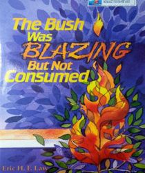 THE BUSH WAS BLAZING BUT NOT CONSUMED