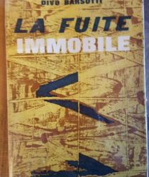 LA FUITE IMMOBILE