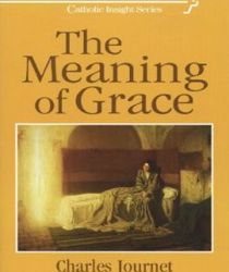 THE MEANING OF GRACE