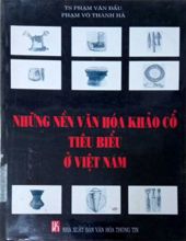 NHỮNG NỀN VĂN HÓA CỔ TIÊU BIỂU Ở VIỆT NAM