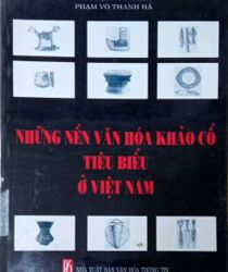 NHỮNG NỀN VĂN HÓA CỔ TIÊU BIỂU Ở VIỆT NAM