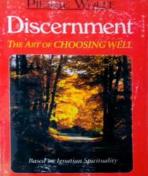 DISCERNMENT THE ART OF CHOOSING WELL