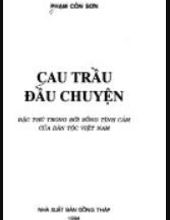 CAU TRẦU ĐẦU CHUYỆN