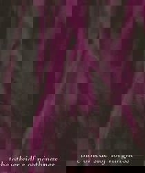 THE OTHER SIDE OF NOTHINGNESS