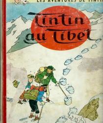 LES AVENTURES DE TINTIN