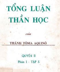 TỔNG LUẬN THẦN HỌC: VINH PHÚC - TỪ CÂU HỎI 90-114