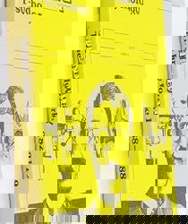 EARLY WORKS OF JOHN DEWEY, 1882-1898: VOLUME 2 : 1887 PSYCHOLOGY 