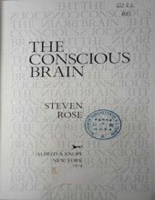 THE CONSCIOUS BRAIN