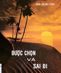 ĐƯỢC CHỌN VÀ SAI ĐI