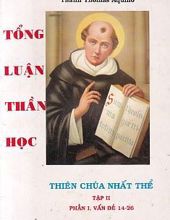 TỔNG LUẬN THẦN HỌC: THIÊN CHÚA NHẤT THỂ - VẤN ĐỀ 14-26