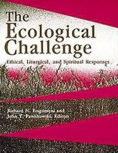 THE ECOLOGICAL CHALLENGE