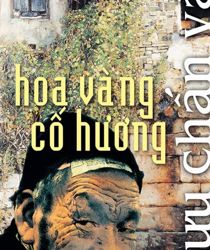 HOA VÀNG CỐ HƯƠNG