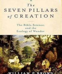 THE SEVEN PILLARS OF CREATION: THE BIBLE, SCIENCE, AND THE ECOLOGY OF WONDER 