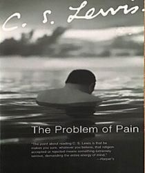 THE PROBLEM OF PAIN 