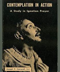 CONTEMPLATION IN ACTION