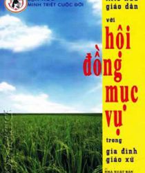 KITÔ HỮU GIÁO DÂN VỚI HỘI ĐỒNG MỤC VỤ TRONG GIA ĐÌNH GIÁO XỨ 