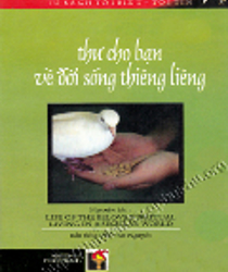 THƯ CHO BẠN VỀ ĐỜI SỐNG THIÊNG LIÊNG