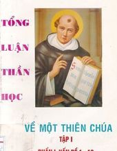 TỔNG LUẬN THẦN HỌC: THIÊN CHÚA NHẤT THỂ - VẤN ĐỀ 1-13