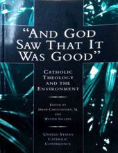 AND GOD SAW THAT IT WAS GOOD: CATHOLIC THEOLOGY & THE ENVIRONMENT
