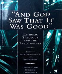 AND GOD SAW THAT IT WAS GOOD: CATHOLIC THEOLOGY & THE ENVIRONMENT