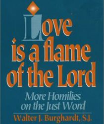 LOVE IS A FLAME OF THE LORD 