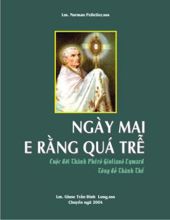 NGÀY MAI E RẰNG QUÁ TRỄ: CUỘC ĐỜI THÁNH PHÊRÔ GIULIANO EYMARD, TÔNG ĐỒ THÁNH THỂ