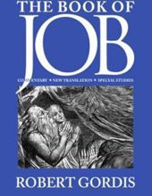 THE BOOK OF JOB: COMMENTARY, NEW TRANSLATION AND SPECIAL STUDIES (MORESHET SERIES)