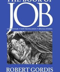 THE BOOK OF JOB: COMMENTARY, NEW TRANSLATION AND SPECIAL STUDIES (MORESHET SERIES)
