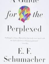 A GUIDE FOR THE PERPLEXED