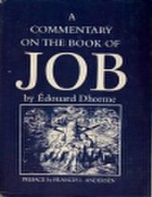 A COMMENTARY ON THE BOOK OF JOB