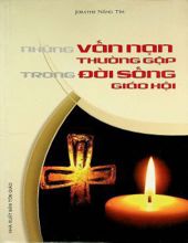 NHỮNG VẤN NẠN THƯỜNG GẶP TRONG ĐỜI SỐNG GIÁO HỘI