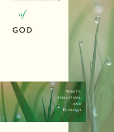 PARTAKING OF GOD: TRINITY, EVOLUTION, AND ECOLOGY