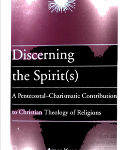 DISCERNING THE SPIRIT(S)